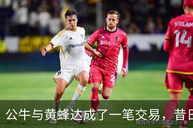 公牛与黄蜂达成了一笔交易，昔日森林狼乐透秀会在黄蜂获得机会？